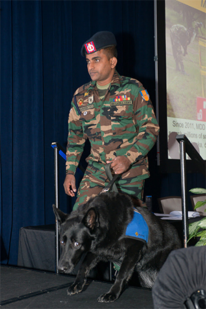 Sri Lanka Army Mine Detection Dog 
