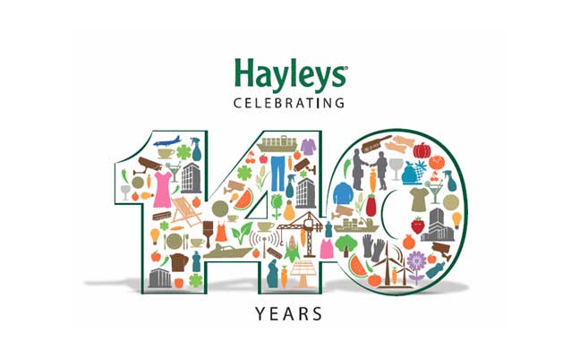 hayleys-140