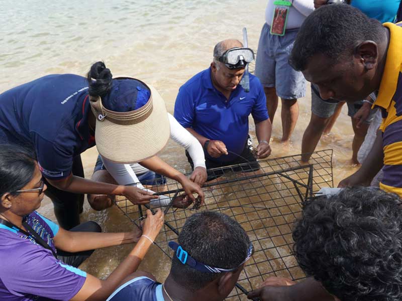 Life-to-Reef-Project-Restores-Corals Life-to-Reef-Project-Restores-Corals
