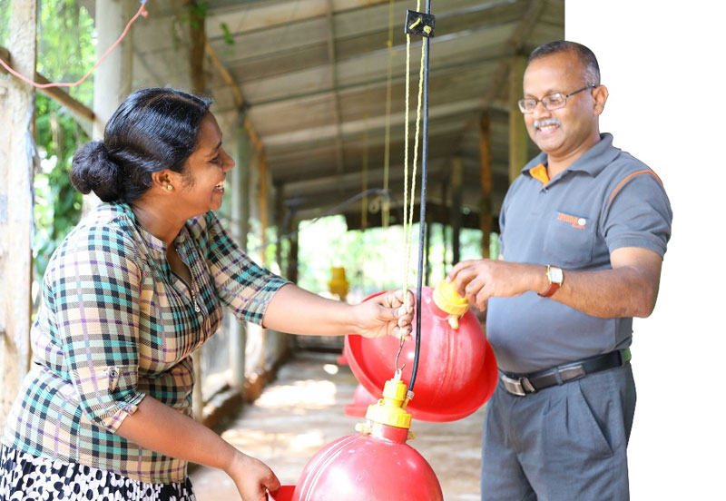 Crysbro-outgrower-links-grant-poultry-farmers-greater-benefit-reduced-risk Crysbro-outgrower-links-grant-poultry-farmers-greater-benefit-reduced-risk