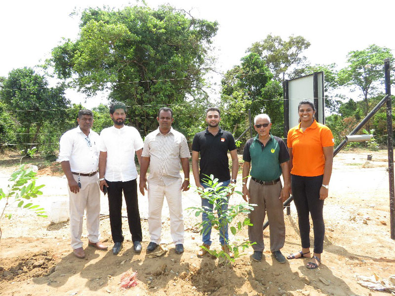 EFL-to-complete-planting-14,000-trees-in-2019 EFL-to-complete-planting-14,000-trees-in-2019