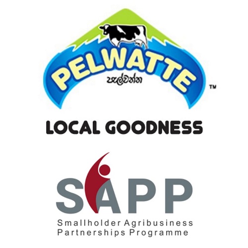Pelwatte-Logo-and-SAPP-Logo-1.jpg