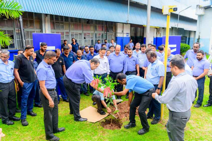 Tree-planting-programme-LBN.jpg