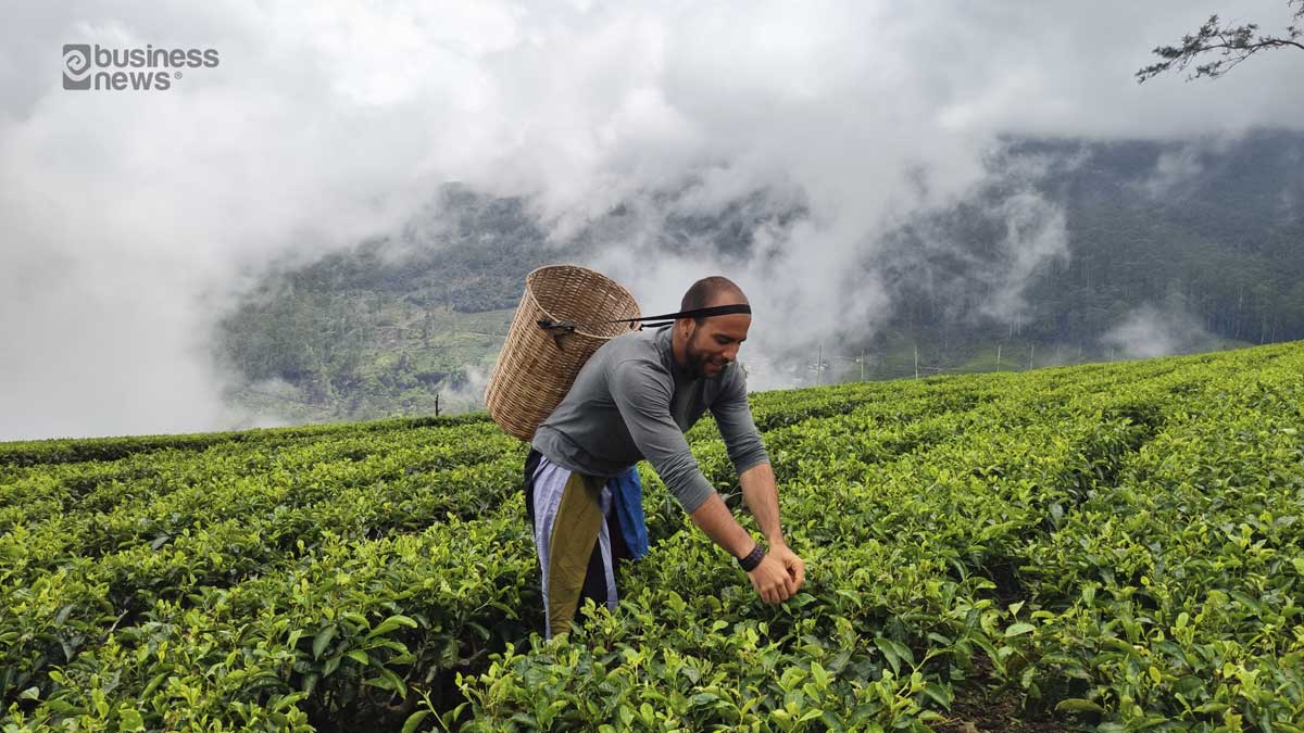 Agrotourism-Sri-Lanka