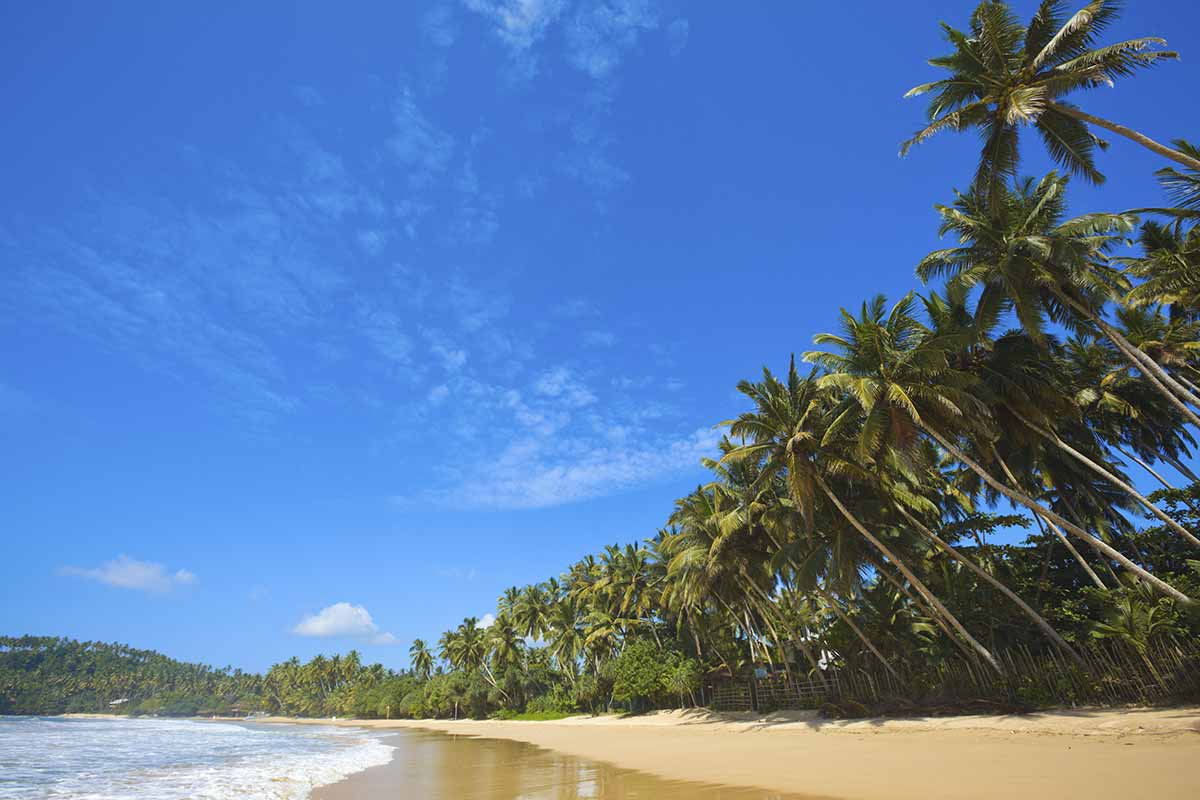 Pristine Beaches - Sri Lanka South Coast