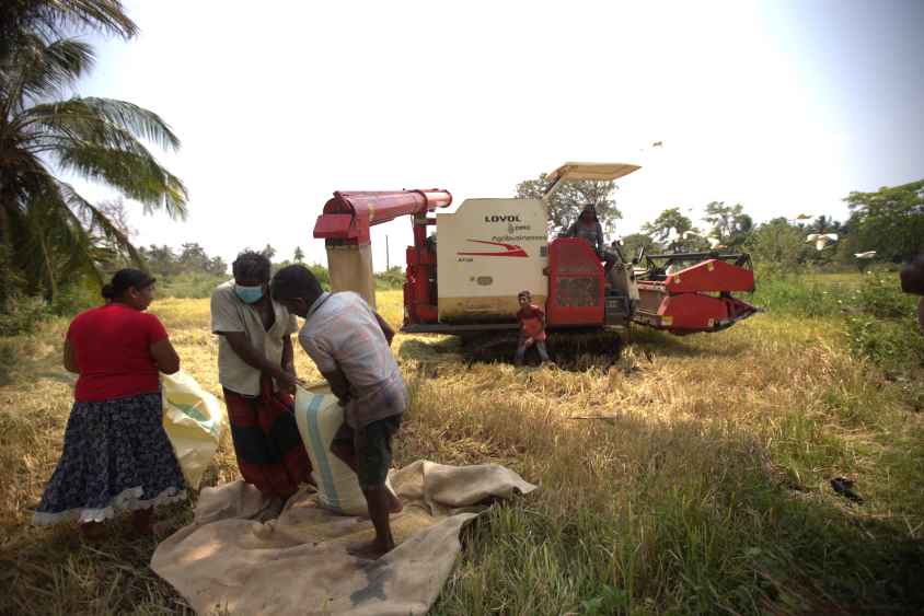 LOVOL Harvester (LBN)