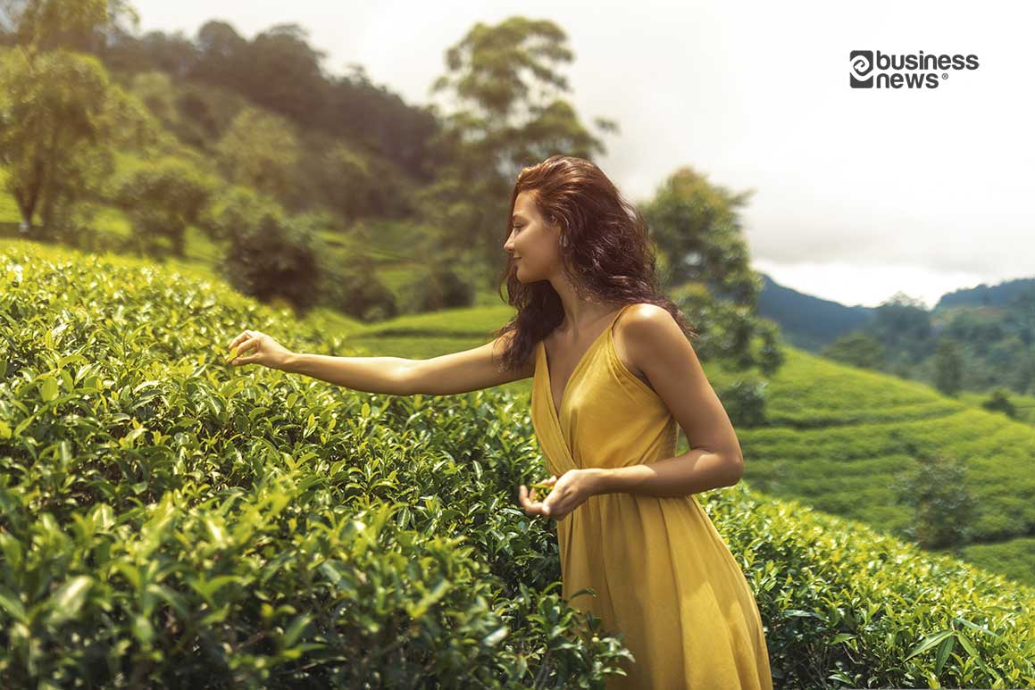 Sri Lanka Tea Plantations