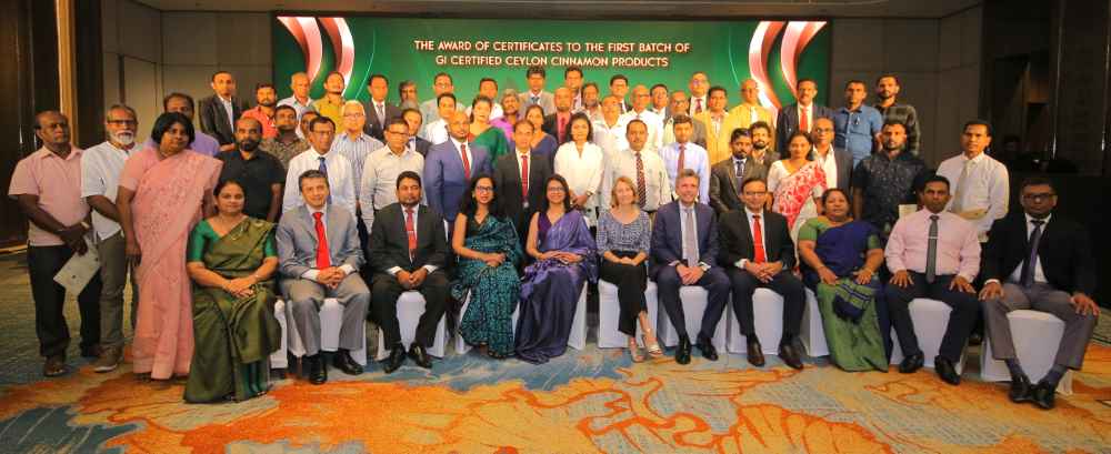 IFC-Partnership-for-Ceylon-Cinnamon-GI-Certification-LBN.jpg