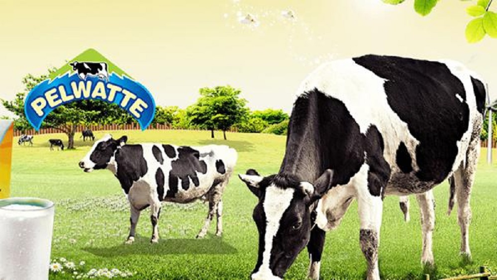 Pelwatte-Dairy