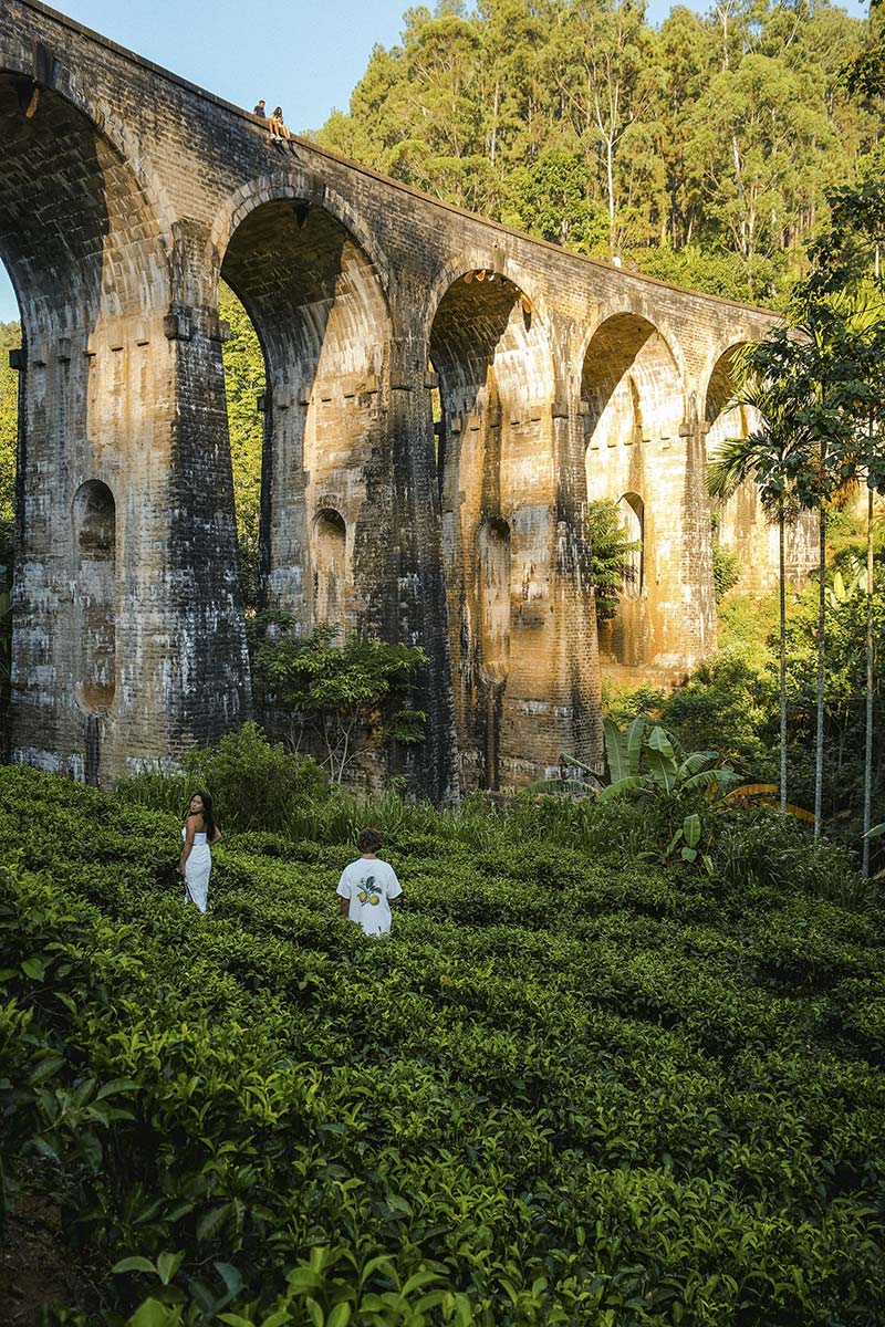 Ceylon Tea Trails